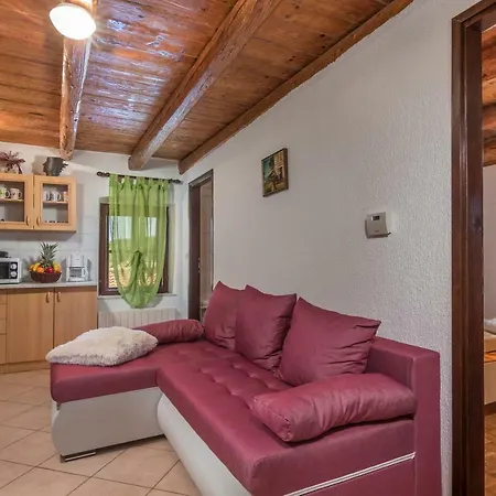Apartment Zikovic